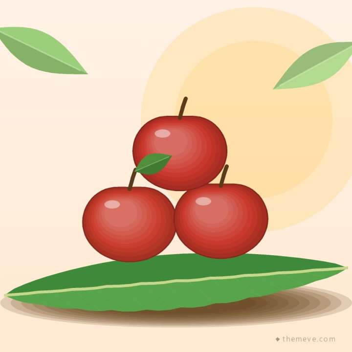 Fuji Apple